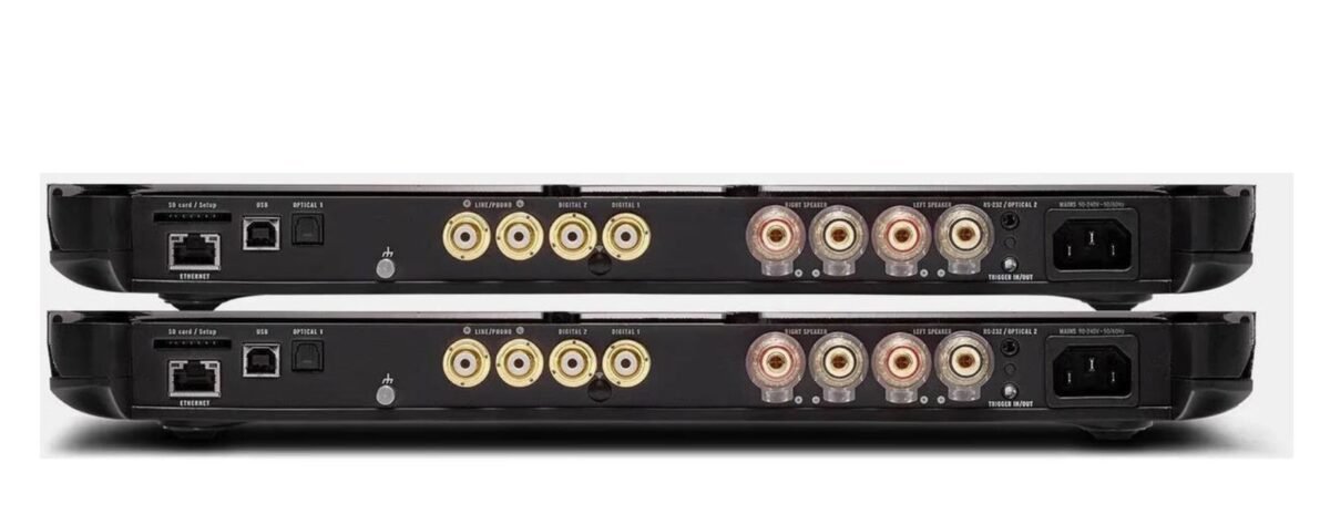 DEVIALET EXPERT 210 PRO DUAL – Image 2