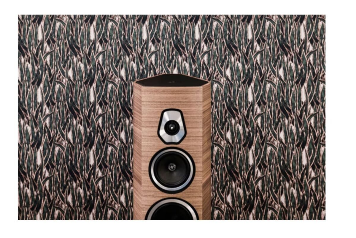 SONUS FABER SONETTO V NOYER (LA PAIRE) Enceintes colonne – Image 2