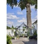 HALLS - Serre de jardin Qube 6.6 m² verre trempé de 3 mm