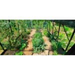 ACD - Serre S208H 22.53 m² en verre trempé sécurit - Aluminium naturel – Image 4