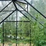 HALLS - Serre de jardin Universal 9.9 m² en verre trempé 3 mm - Noir – Image 10