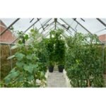 HALLS - Serre de jardin Magnum 9.9 m²  verre 3 mm - Noir – Image 5