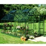 HALLS - Serre de jardin Magnum 9.9 m² verre 3 mm - Vert – Image 6